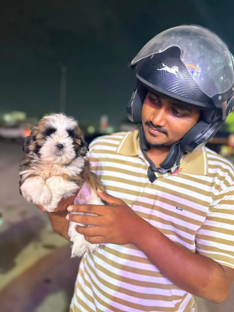 happy customer with shih tzu puppy from Kumaran Pet House Chennai